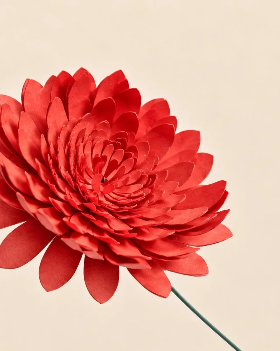 Chrysanthème en papier coquelicot