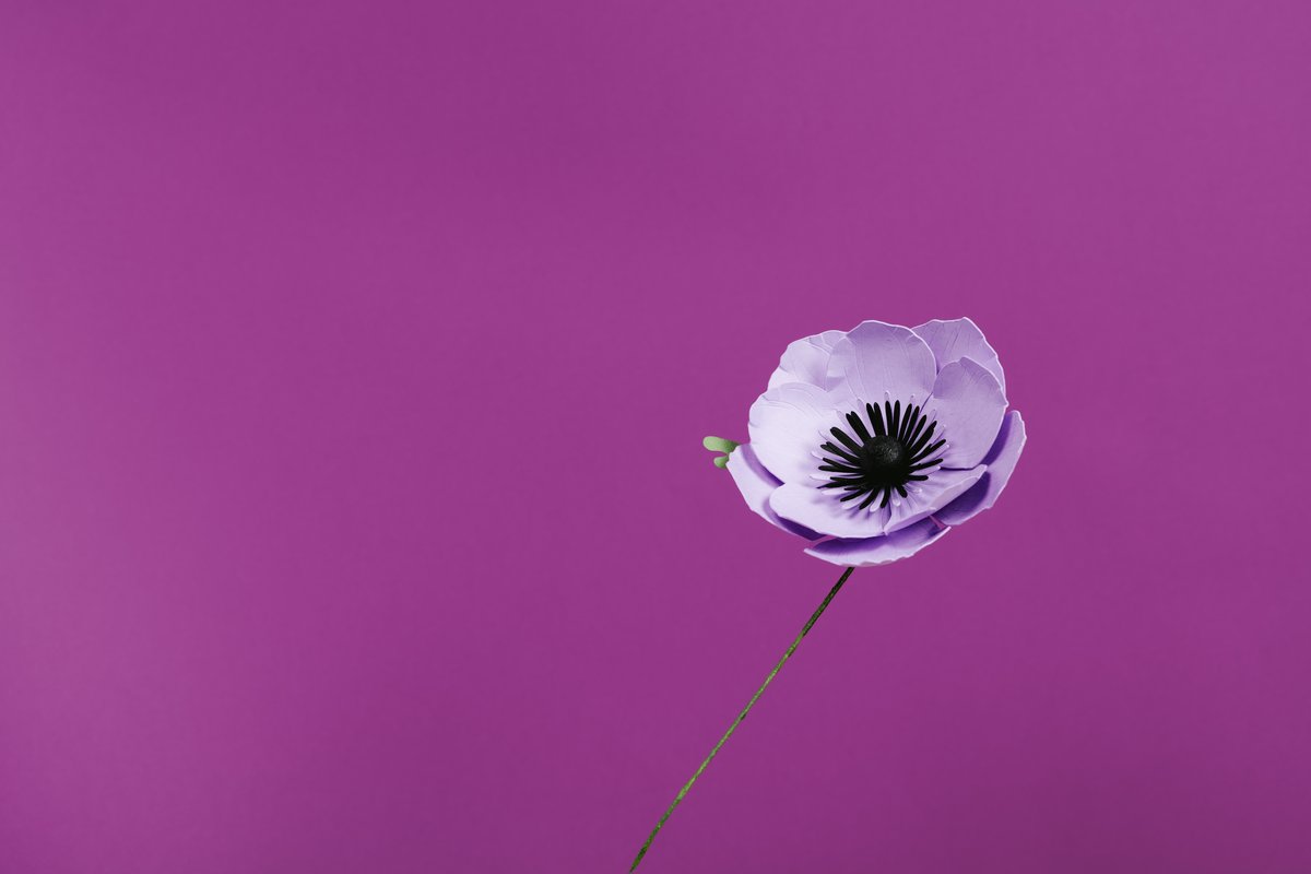 Coulisses : création d'un bouquet de mariée