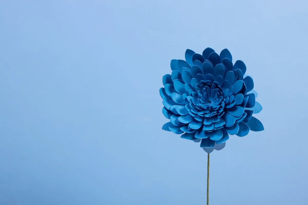 Chrysanthème en papier bleu pétrole sur fond bleu ciel