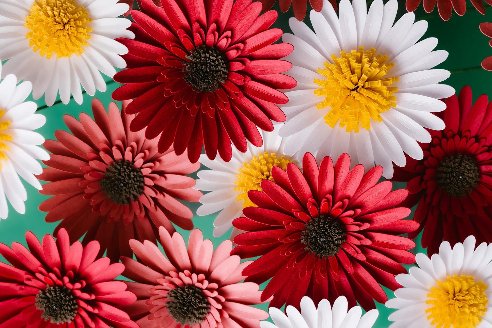 Marguerites et gerberas en papier façonnés à la main