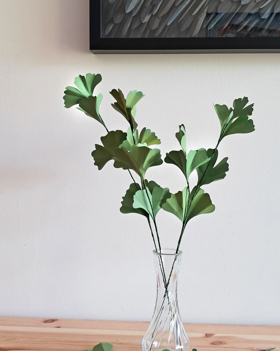 Branche de Ginkgo
