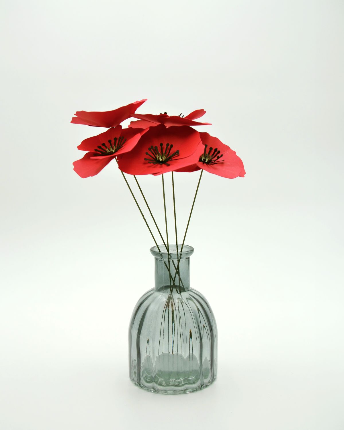 Coquelicot - vue 3