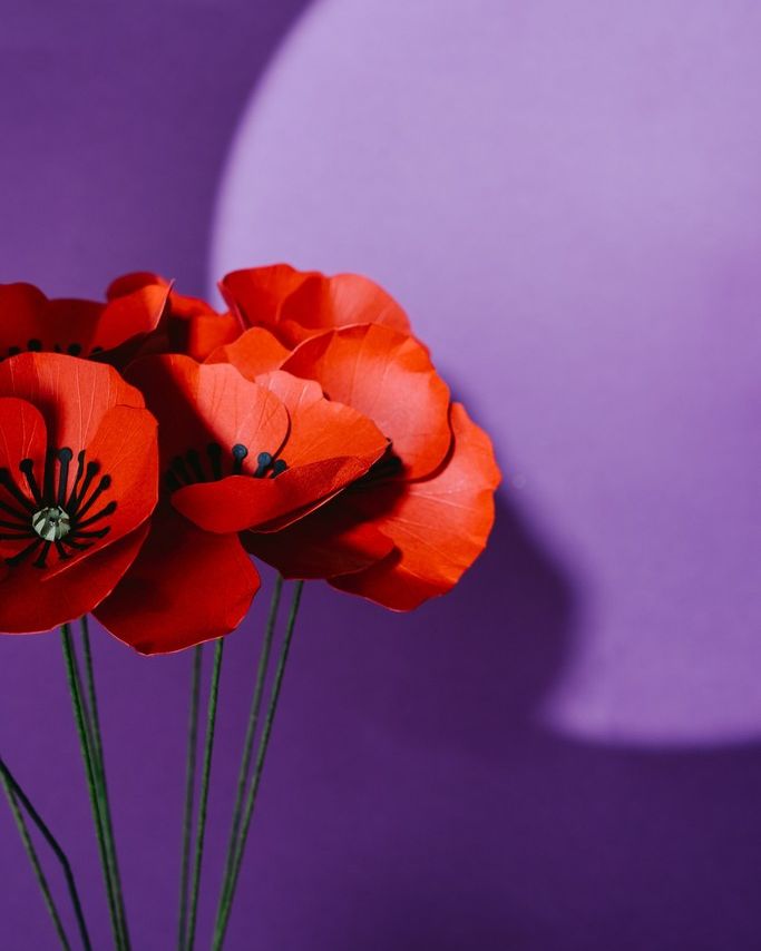 Coquelicot - vue 2