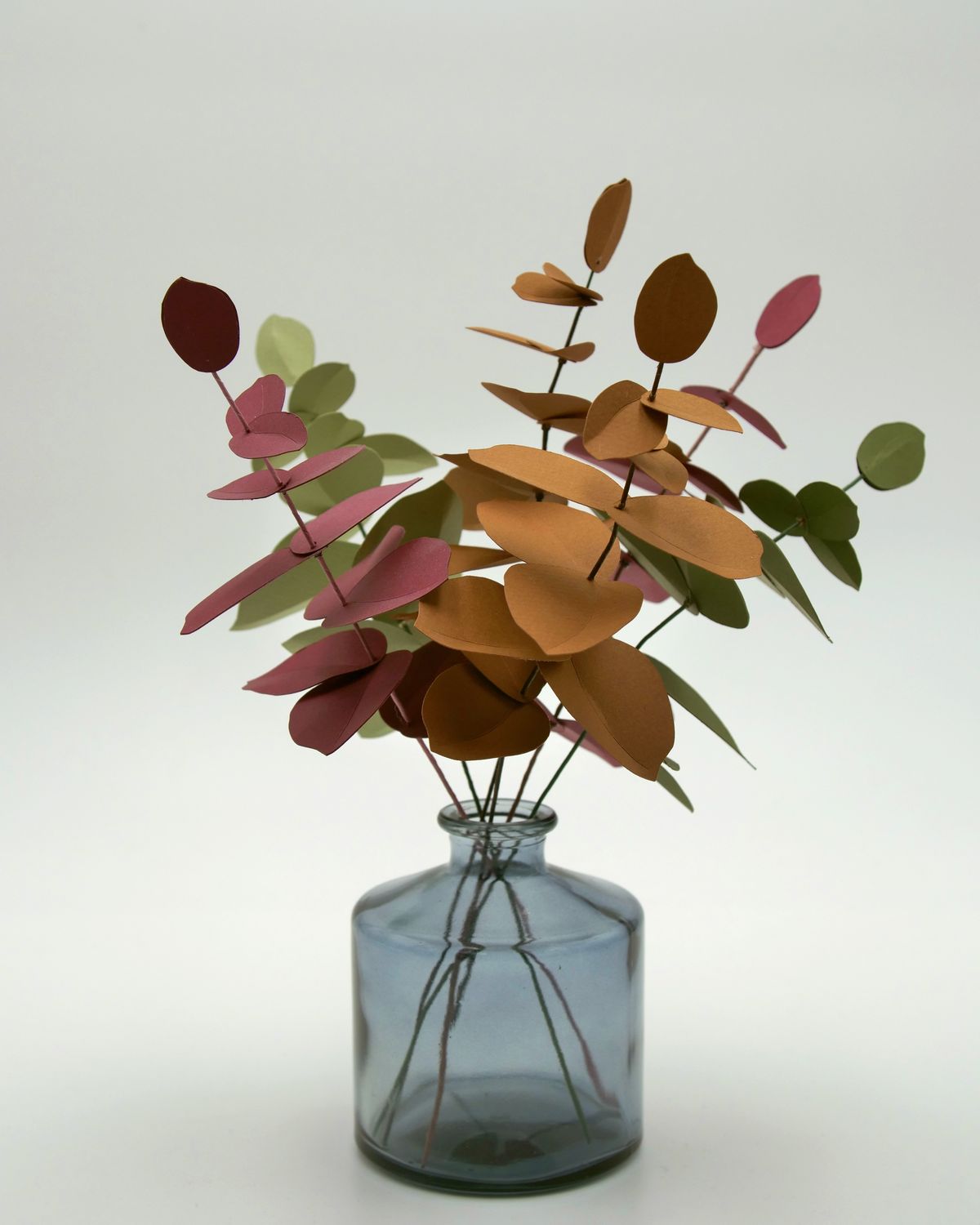 Eucalyptus - vue 2