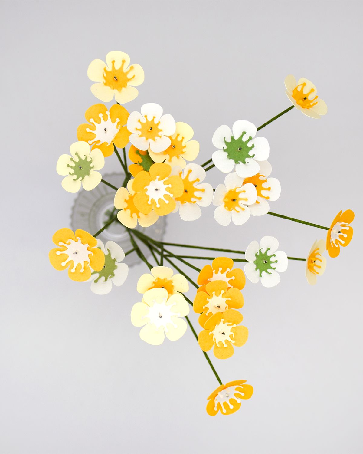 Fleurs de wax - vue 6