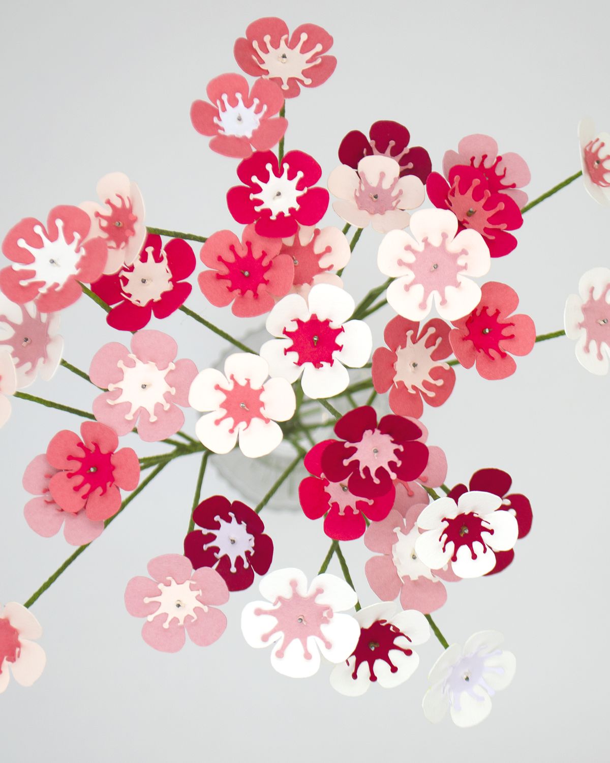 Fleurs de wax - vue 7