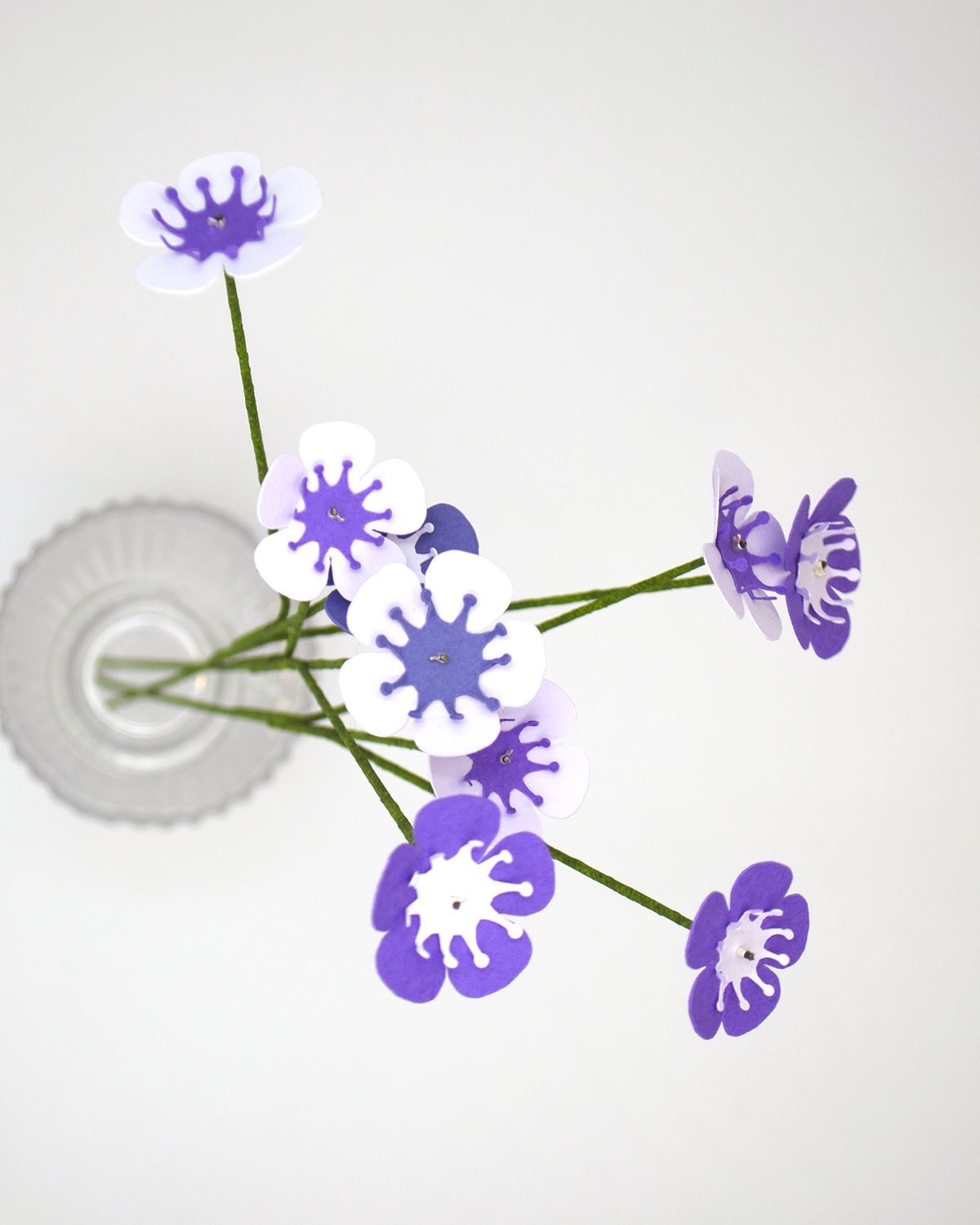 Fleurs de wax - vue 3