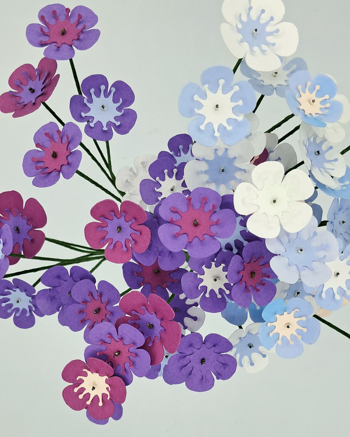 Fleurs de wax - vue 4