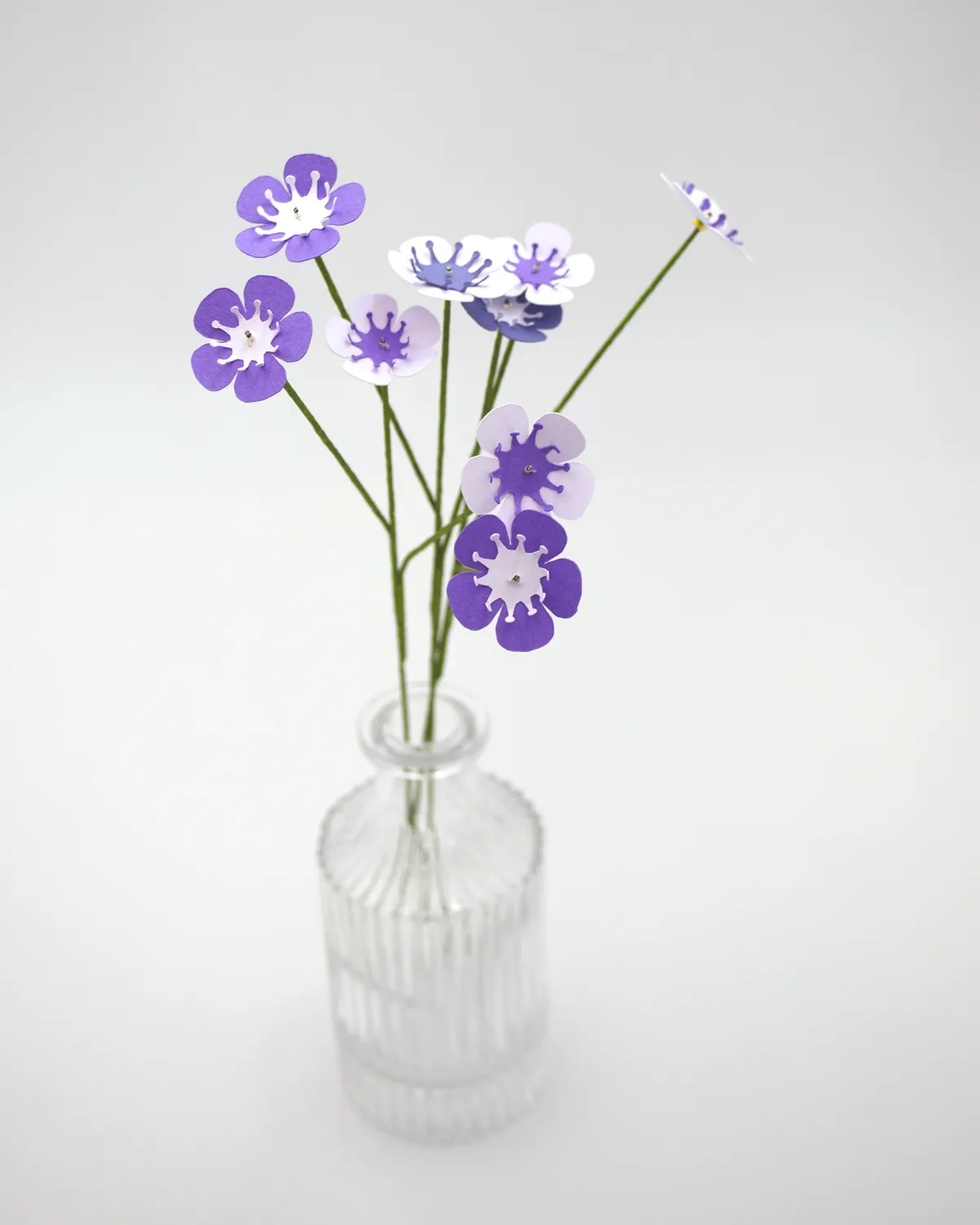 Fleurs de wax violettes dans un vase, photo d'atelier