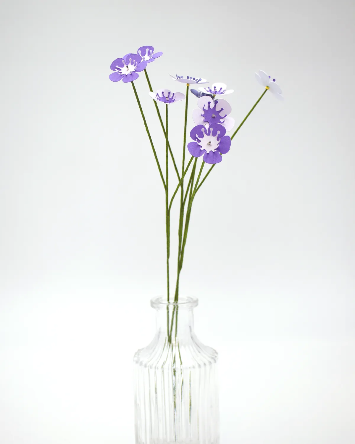 Fleurs de wax violettes dans un vase en verre