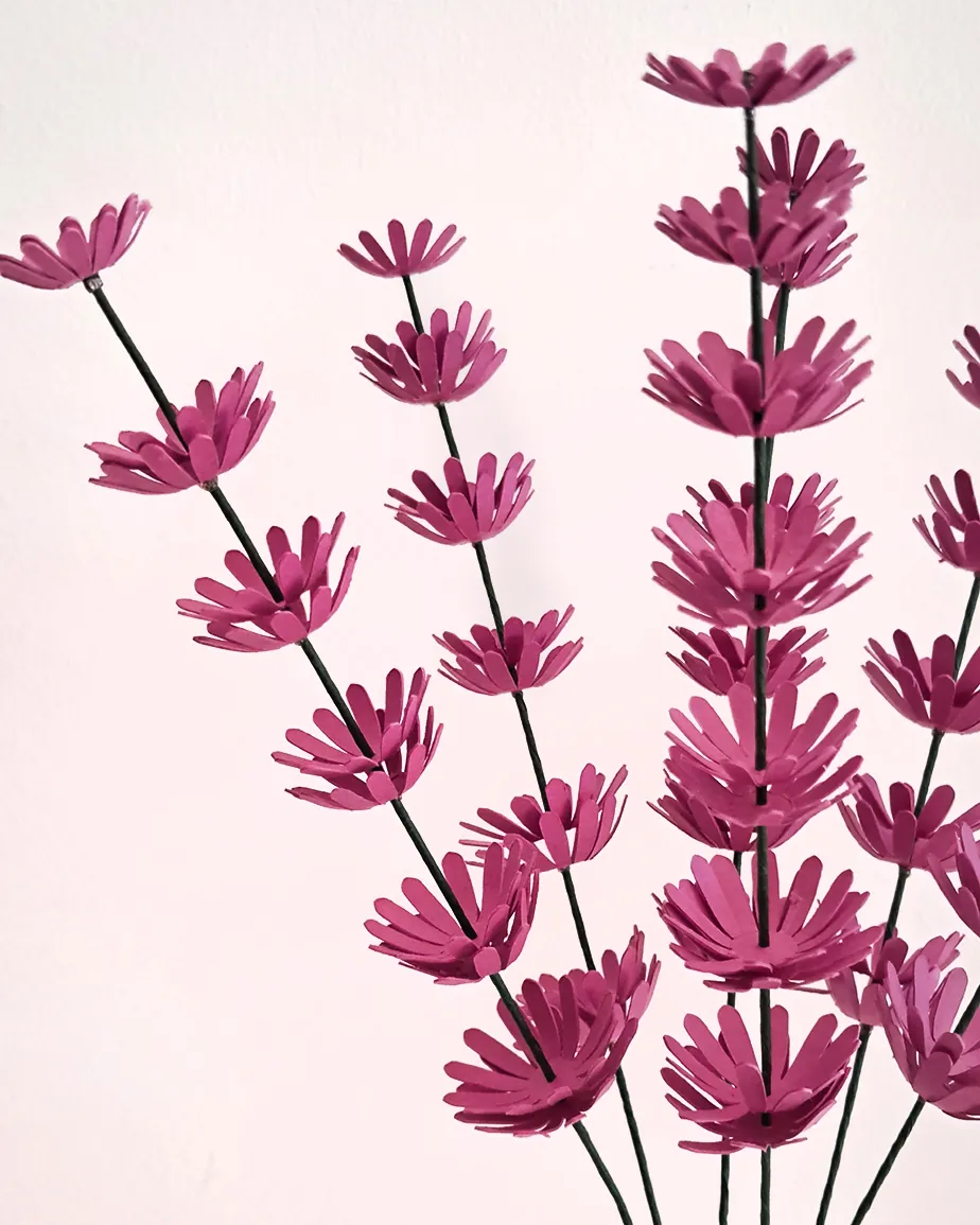Lavande en papier rose parme, gros plan sur les épis