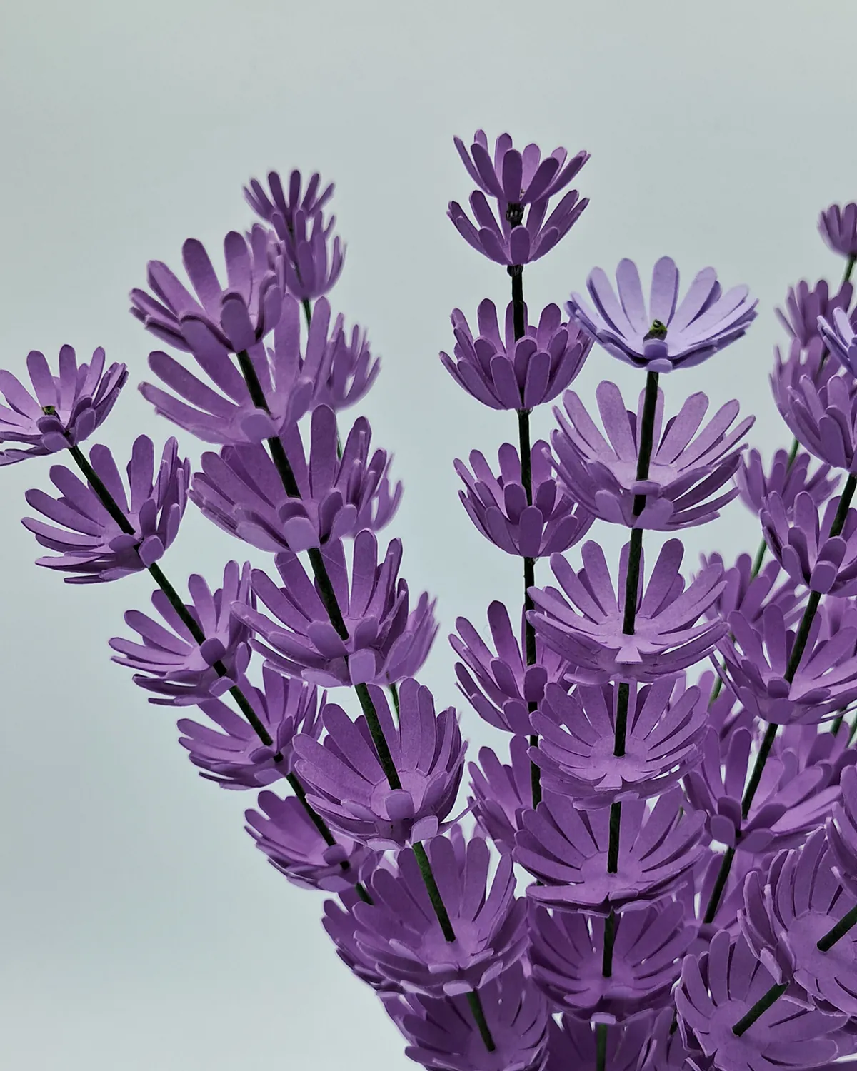 Lavande en papier violet, détail des épis