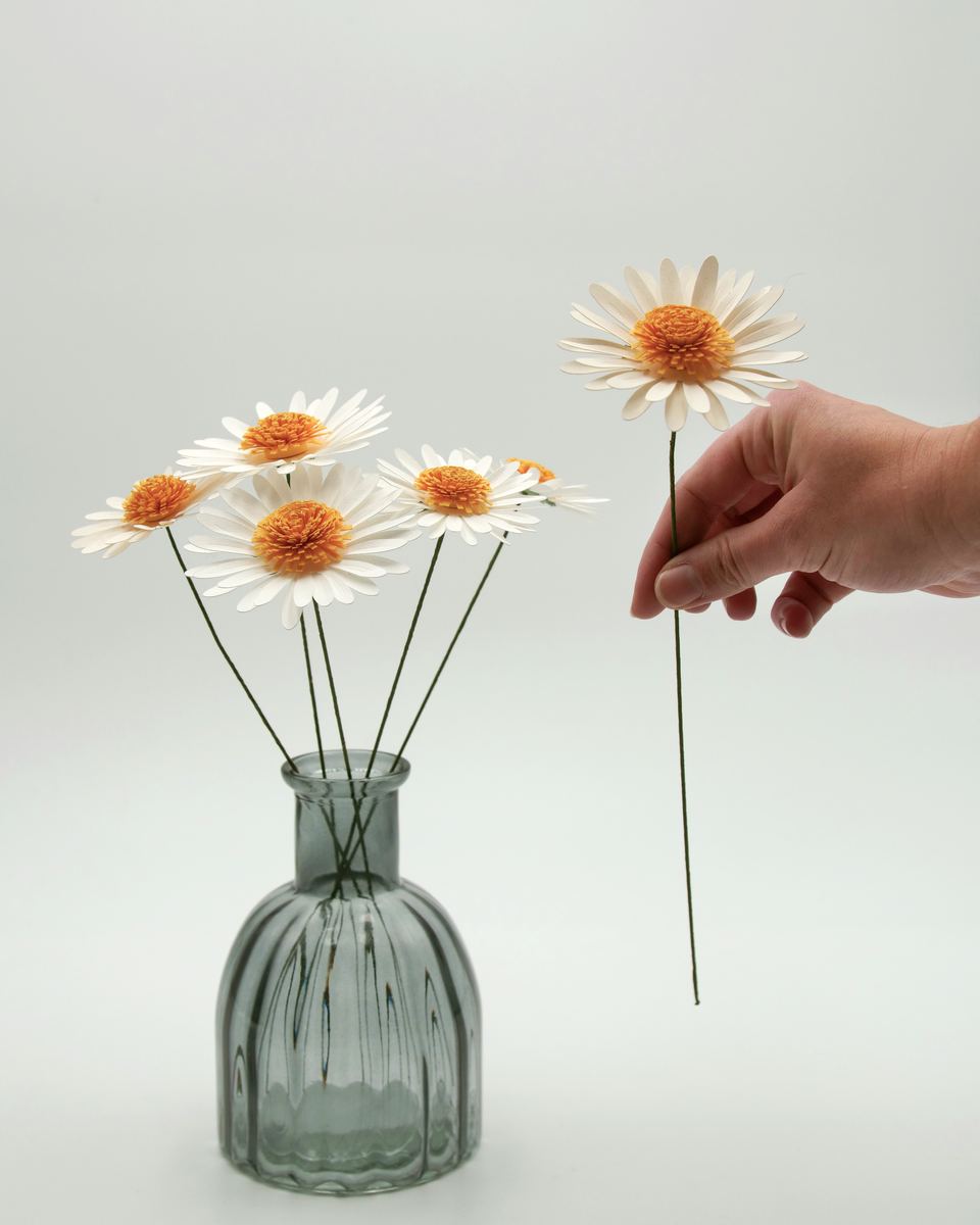 Marguerite