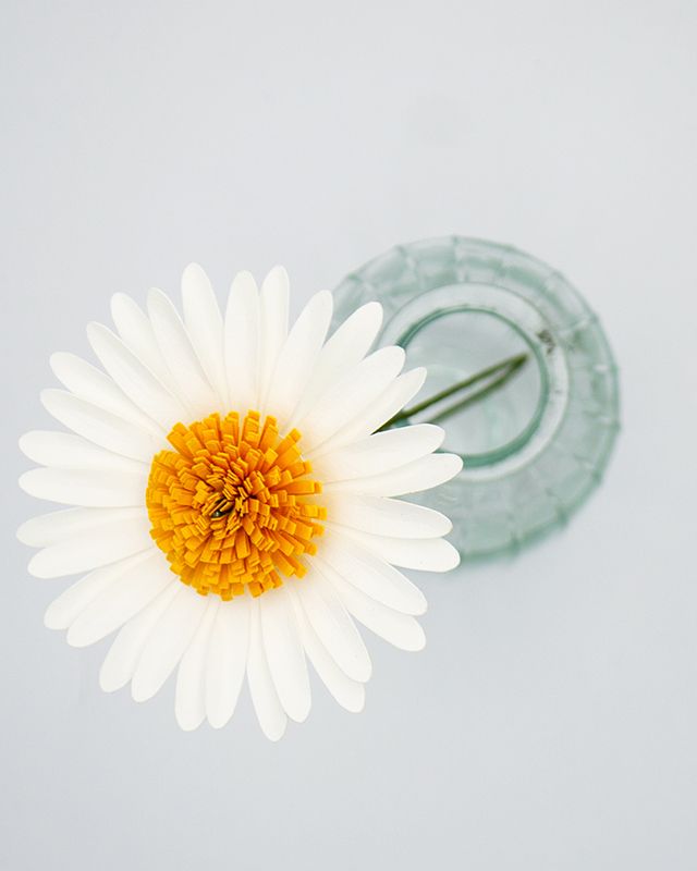 Marguerite - vue 4