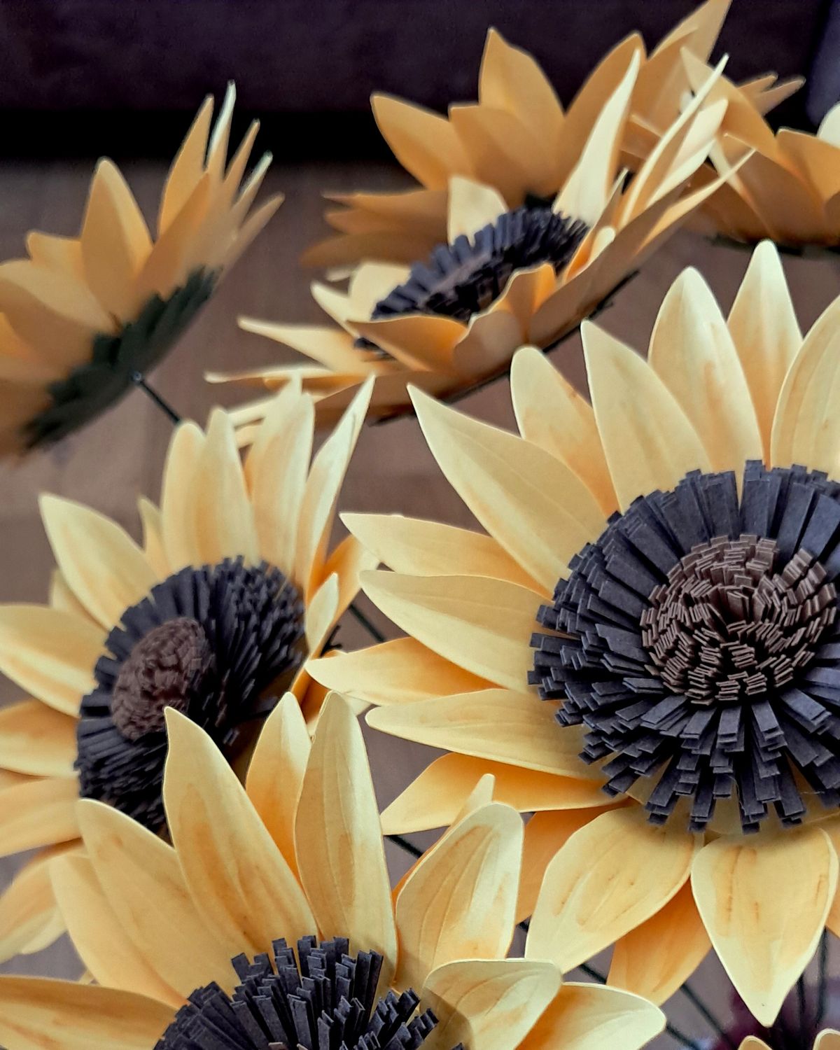 Tournesol - vue 2